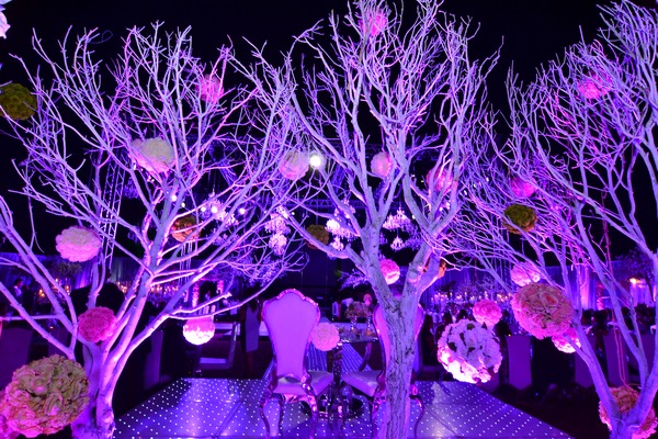 Wedding of Toni Akar